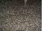 Тъкана пътека MAGNOLIA 802 beige